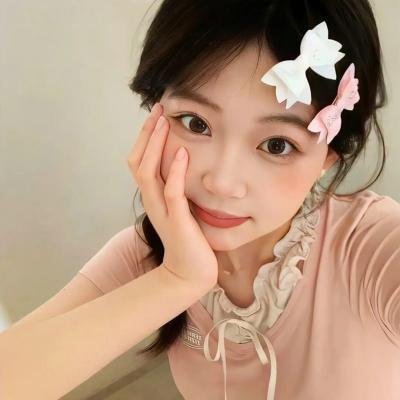 灰天鹅绒上的四只苍蝇