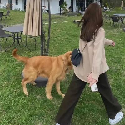 少女救地球